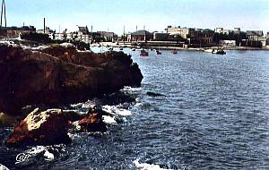 Port aux poules 604